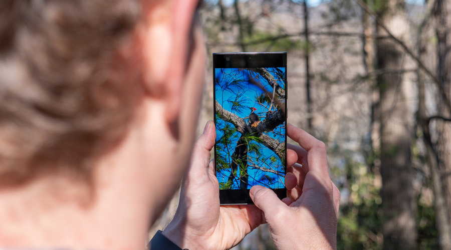 Samsung Galaxy S23 Ultra: Bật mí cách chụp ảnh độ phân giải 50MP và 200MP cho chất lượng tuyệt vời