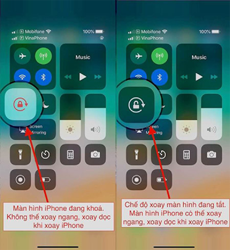 Cách Tắt Xoay Màn Hình Iphone Dành Cho Bạn | Mt Smart