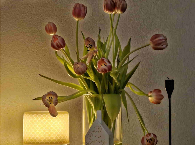 Dòng Galaxy S23 đã nhận được bản cập nhật tháng 6 với nhiều cải tiến về camera