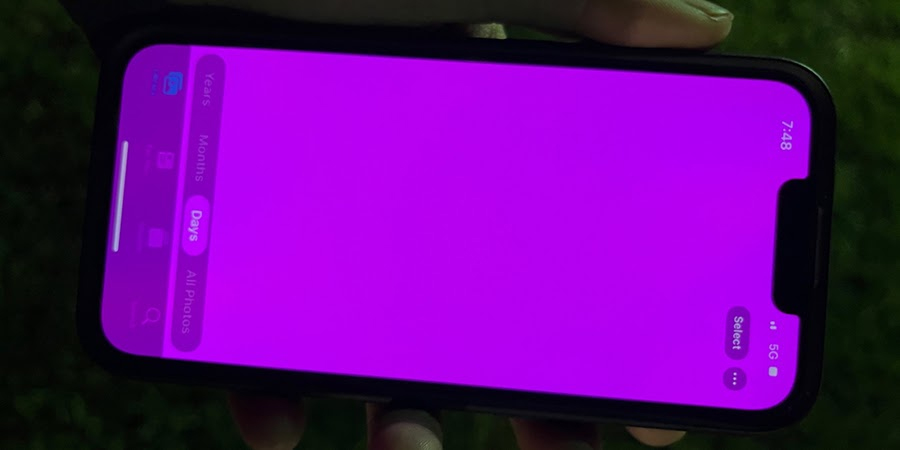 iPhone bị lỗi màn hình hồng