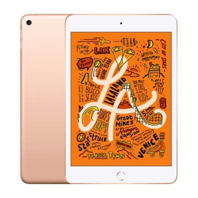 iPad mini 5 64G 4G - Like New