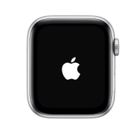 Sửa treo táo Apple Watch Series 5